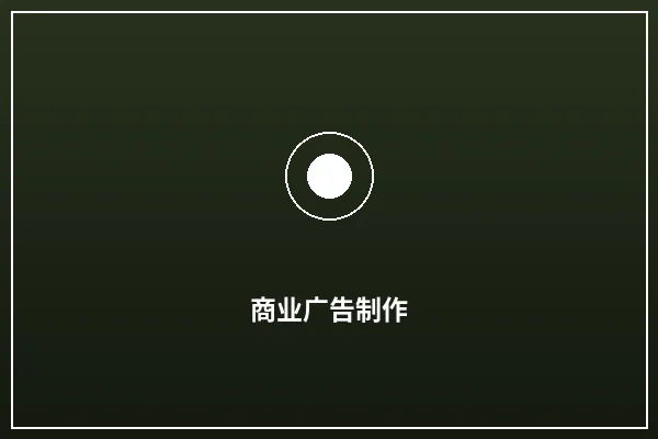 商业广告制作案例展示